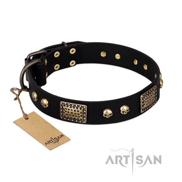 Decorative Leather Dog Collar for Safe Walking