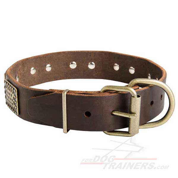 Decorated Leather Dog Collar Brass Fittings