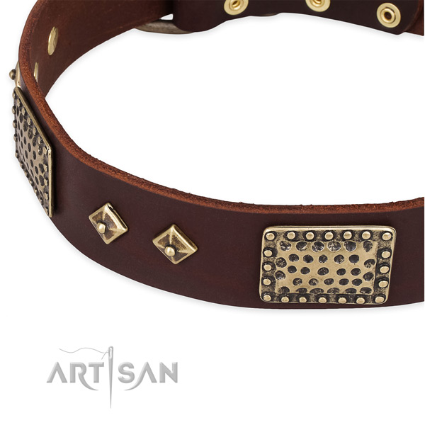 Decorative Leather Dog Collar for Safe Walking