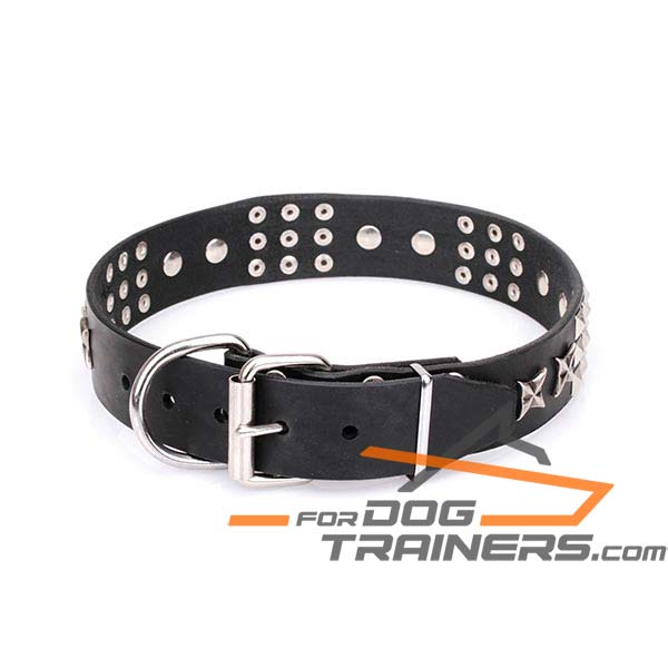 Designer Dog Collar with Durable Fittings