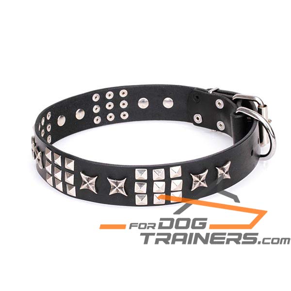 Leather Dog Collar with Silver-Like Decorations