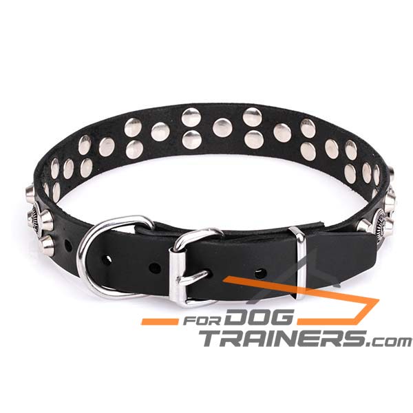 Leather Collar with Chrome-plated Steel Buckle 