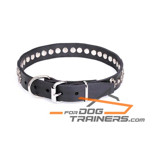 Dog Leather Collar with Chrome-plated Steel Hardware