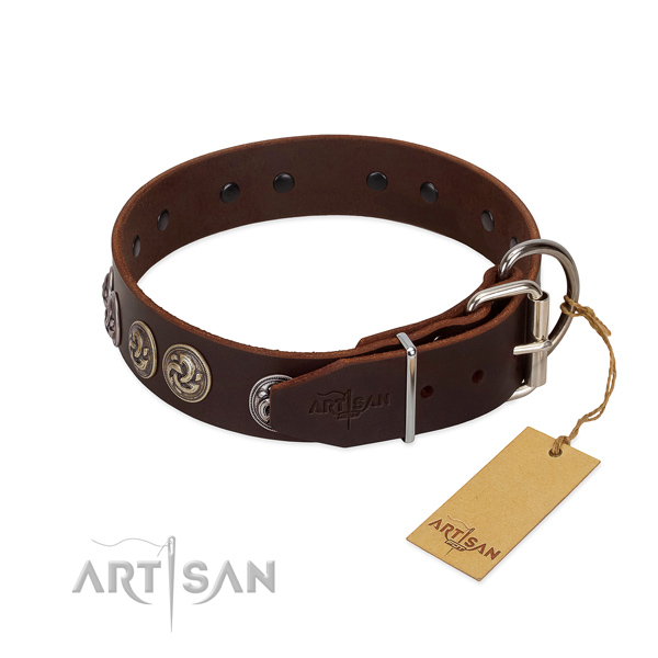 Uniquely Designed Dog Collar Equipped with Rustproof Fittings