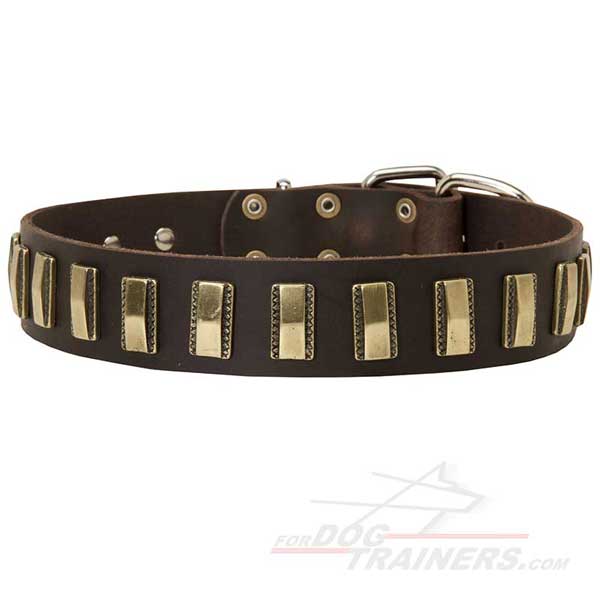Leather Dog Collar Decorated with Designer Brass Vertical Plates