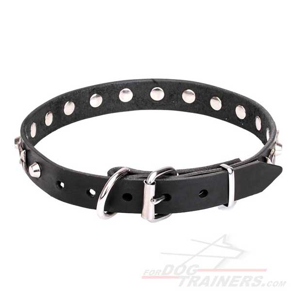 Fashionable Leather Dog Collar with Nickel Plated D-Ring