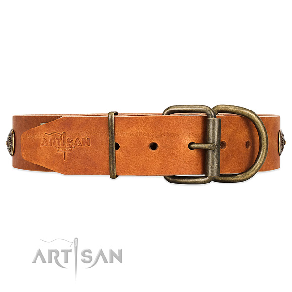 Strong Corrosion-resistant Buckle on Adjustable Dog Collar