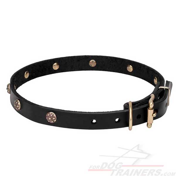 Leather Narrow Collar for Dog Walking and Training