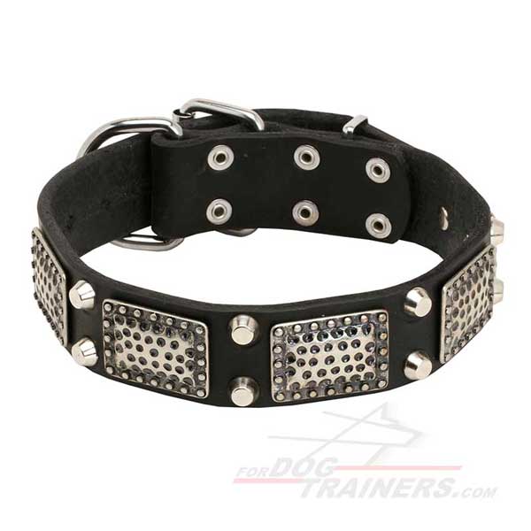 Designer Leather Dog Collar Nickel Plated Decor