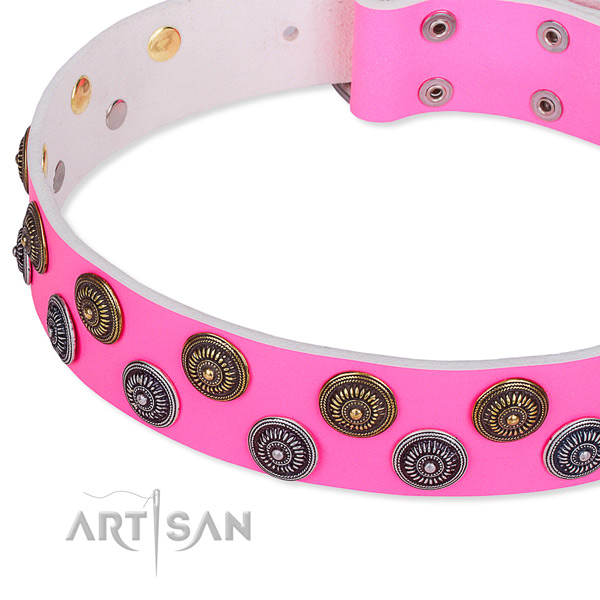 Stylish Dog Collar for Walking