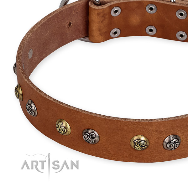Leather Dog Collar with Chrome Plated Steel D-ring