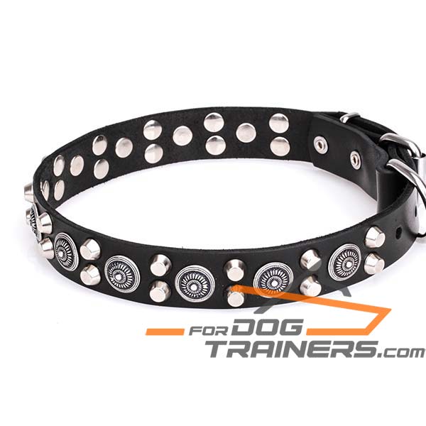 Genuine Leather K9 Collar with Rivets