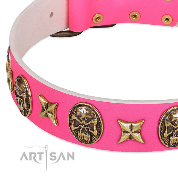Trendy FDT Artisan Leather Dog Collar with Riveted Decor