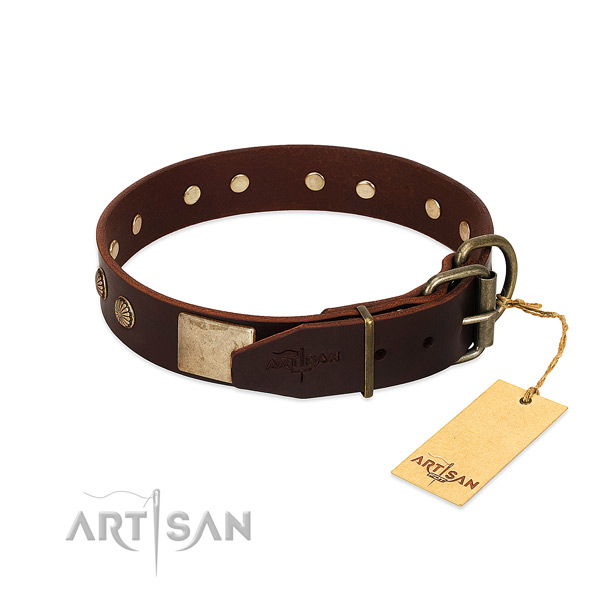 Brown Dog Collar Equipped with Rustproof Hardware