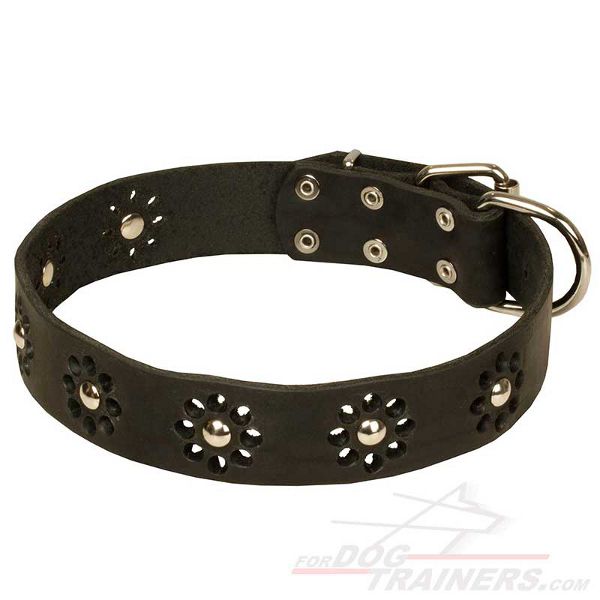 Studded Leather Collar for Stylish Dogs