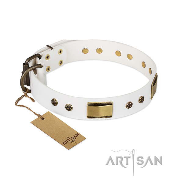 White Dog Collar with Bronze Plated Fittings
