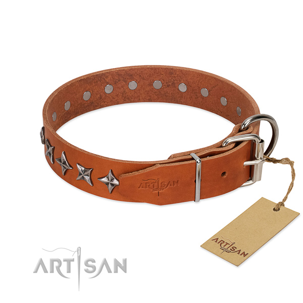Strong Leather Dog Collar for Safe Walking