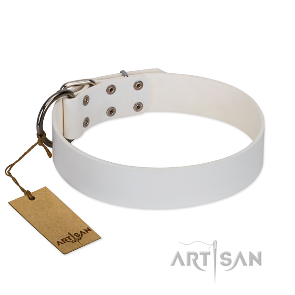 White Leather Dog Collar of Classic Design