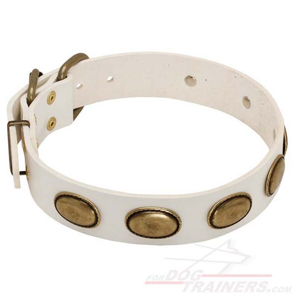 Leather Dog Collar with plates