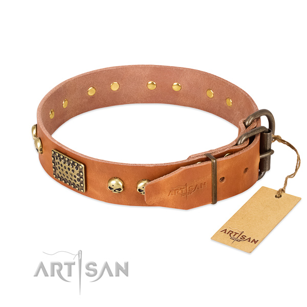 Tan Leather Dog Collar with Old Bronze Look Fittings
