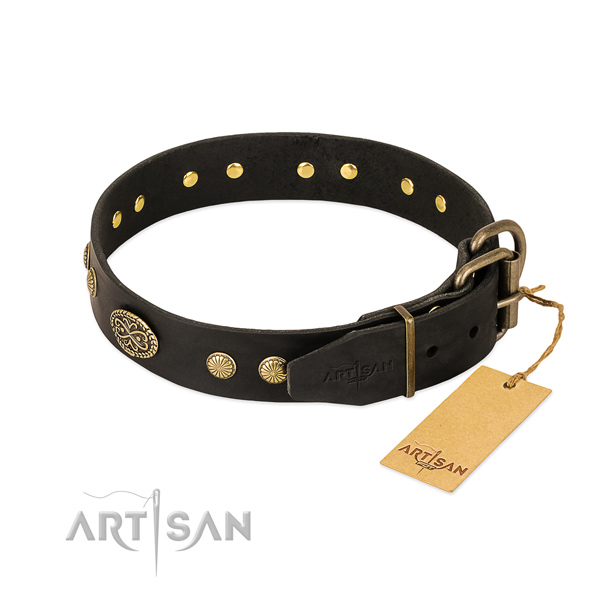 Black Leather Dog Collar with Old Bronze Look Fittings