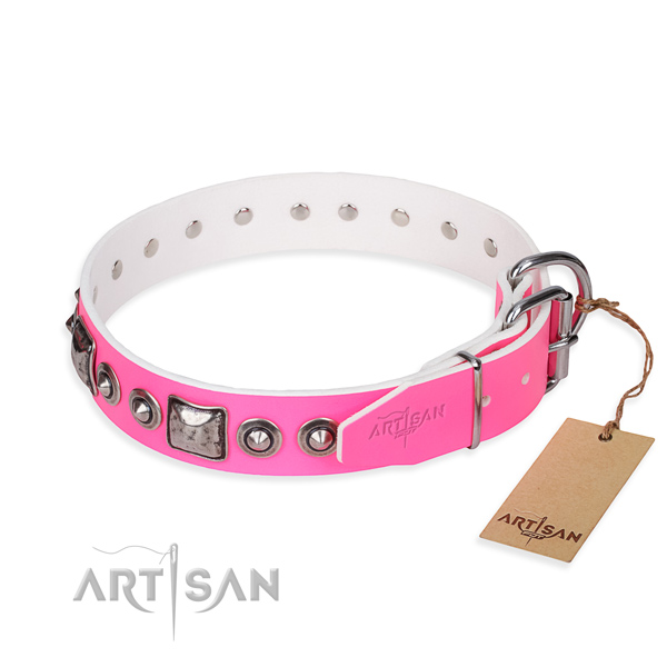 Stylish Dog Collar with Silver Look Fittings