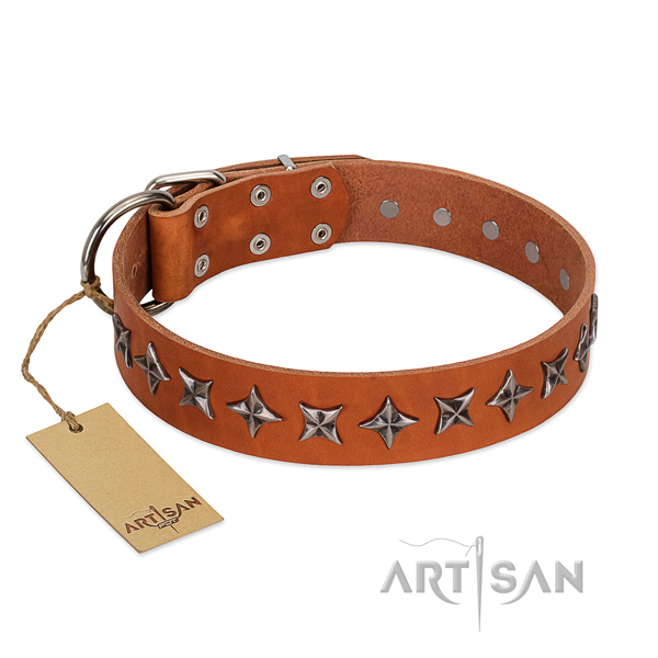 Stylish Tan Leather Dog Collar with Silvery Stars 