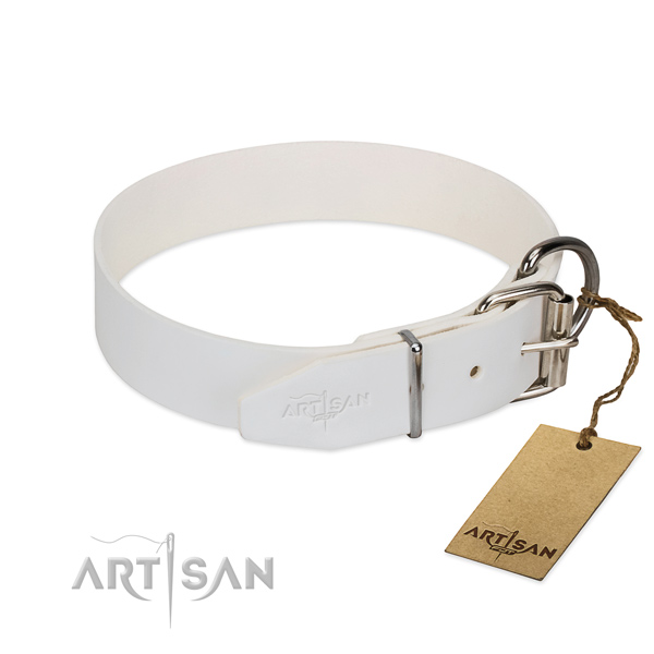  White Leather Dog Collar with Silver Look Fittings