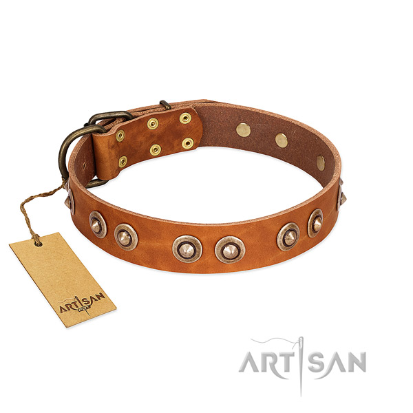 Tan Leather Dog Collar with Mat Gold Medallions