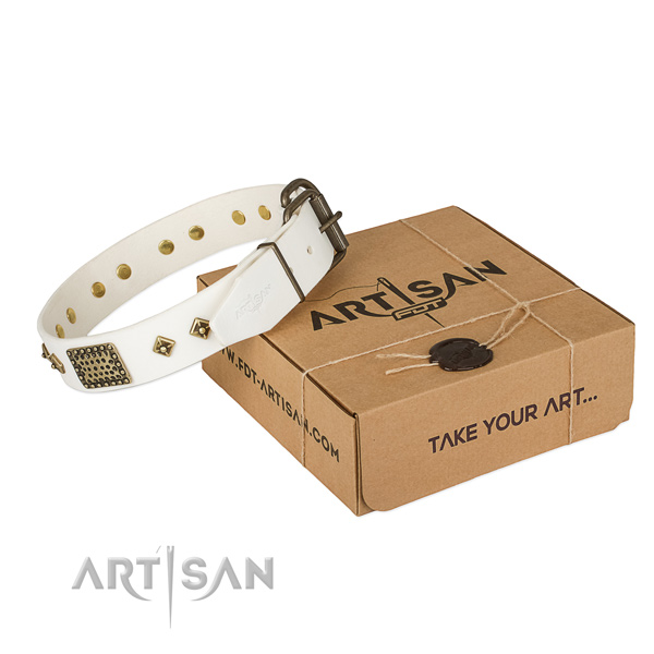 Stylish White Leather Dog Collar with Plates and Studs