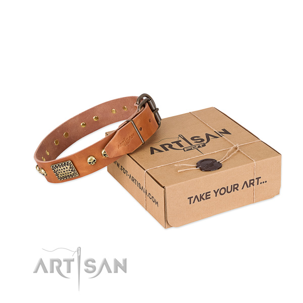 Stylish Tan Leather Dog Collar with Plates and Skulls