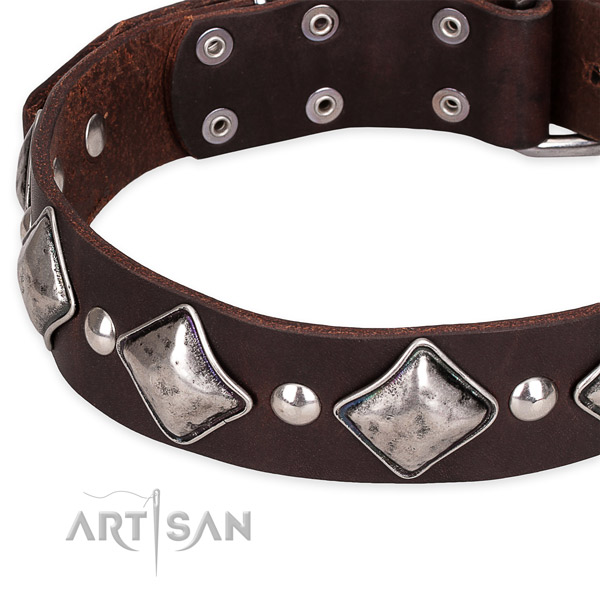 Brown Leather Dog Collar with Small Round Studs