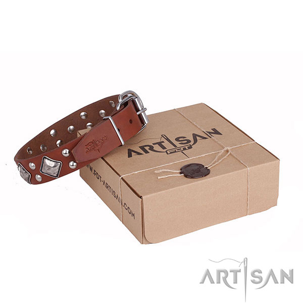 Tan Leather Dog Collar with Small Round Studs