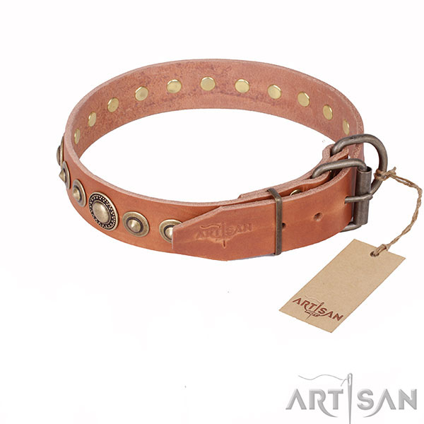 Tan Leather Dog Collar with Old-like Brass-plated Steel Hardware
