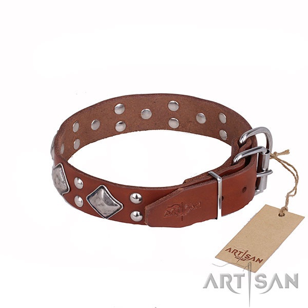 Tan Leather Dog Collar with Polished Fittings