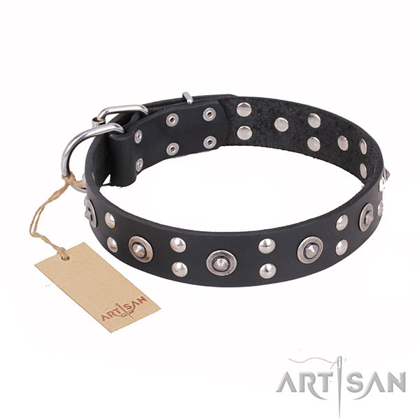 Black Leather Dog Collar Decorated with Round Studs