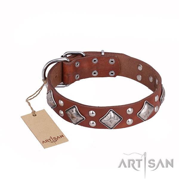Leather Dog Collar with Rust Resistant Decorations