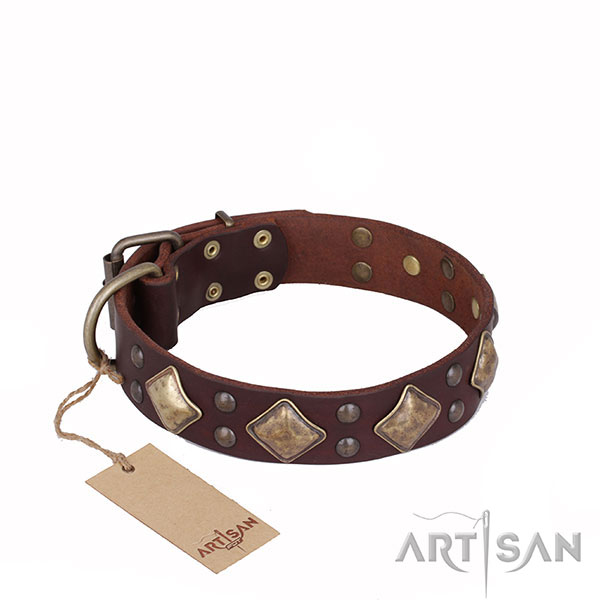 Amazing Design Brown Leather Dog Collar