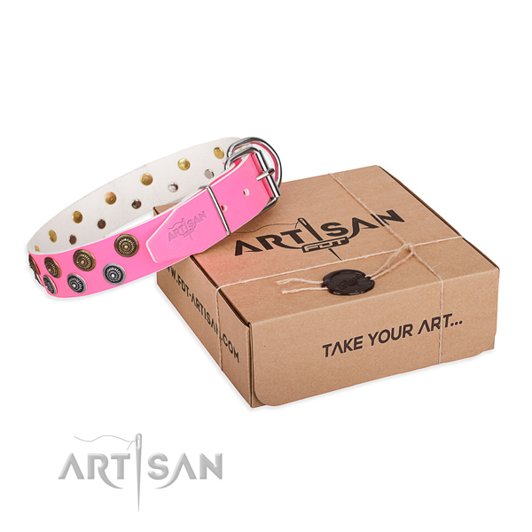 Stylish Dog Collar with Amazing Decor