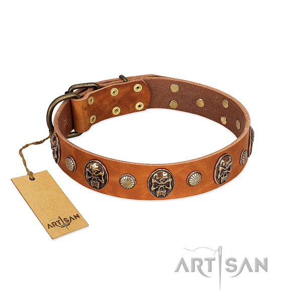 Tan Leather Dog Collar for Daily Comfortable