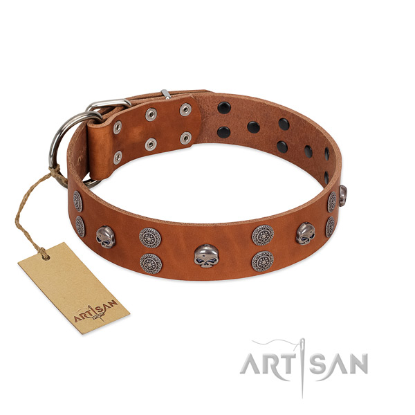 Unique Leather Dog Collar for Daily Comfortable