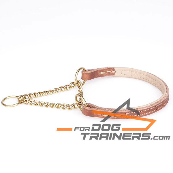 Martingale Tan Dog Collar with Brass Rust Resistant Chain