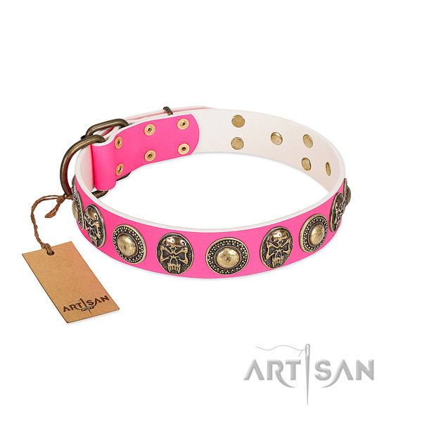 Stylish bright pink walking dog collar