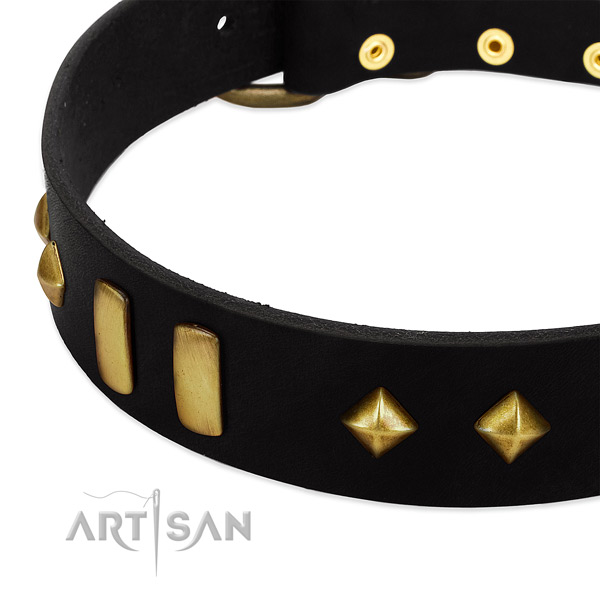 Stunning design leather dog collar with old- bronze-like plates and studs title=
