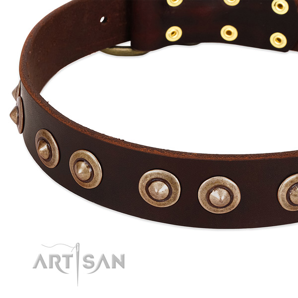 Wonderful brown leather dog collar with studs