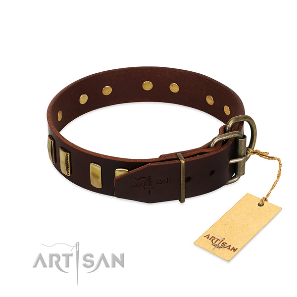 Unique Leather Dog Collar Adorned with Bronze-like Plated
Adornments