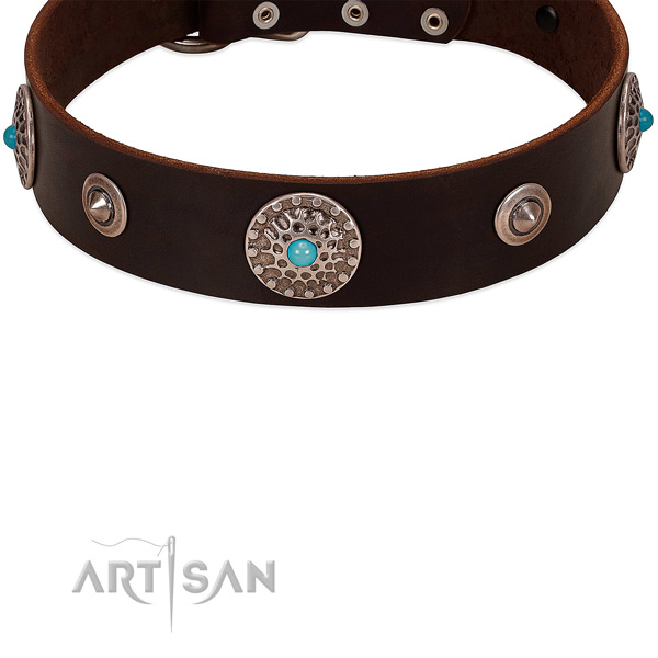 Dog collar with studs and conchos for stylish canine
