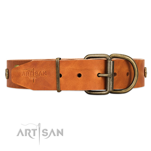 Tan leather dog collar with traditional buckle for easy fit
