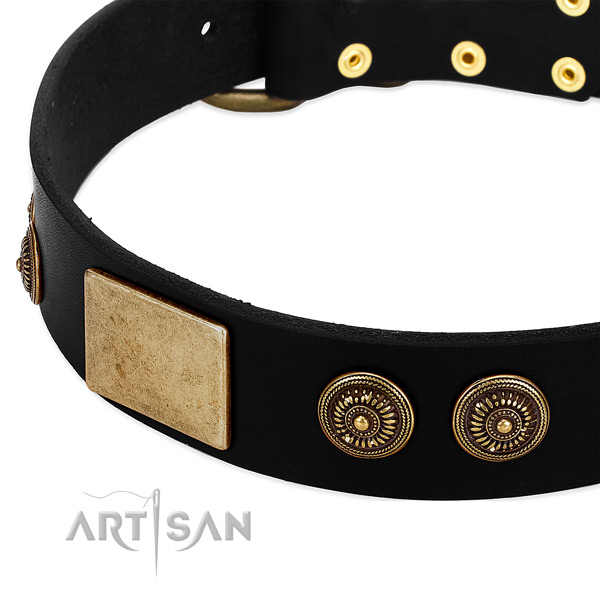 Black dog collar with large plates and engraved studs