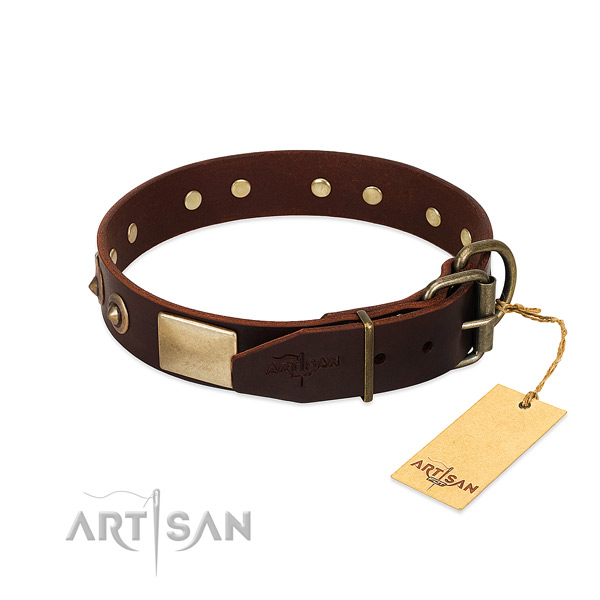 Brown leather dog collar with durable fittings